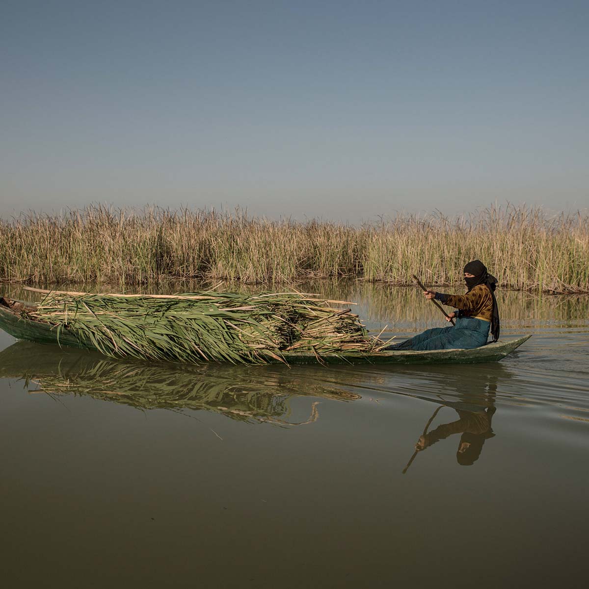 The Marshes / Al-Ahwar, to be replaced with final photography
